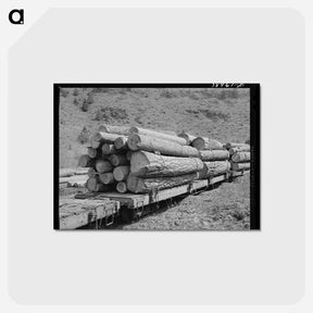 アートポストカード-Logs to Town
 - ラッセル リー Postcard.