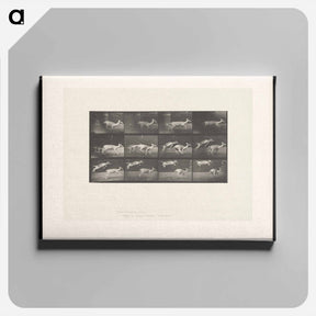 アートパネル-Jumping Deer
 - エドワード マイブリッジ Canvas.