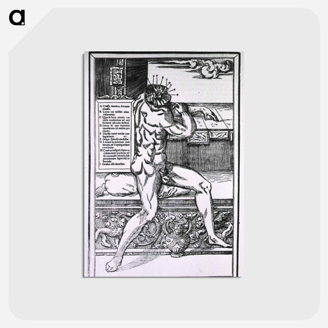 アートポストカード-Anatomy of the Human Head
 - 国立医学図書館 Postcard.