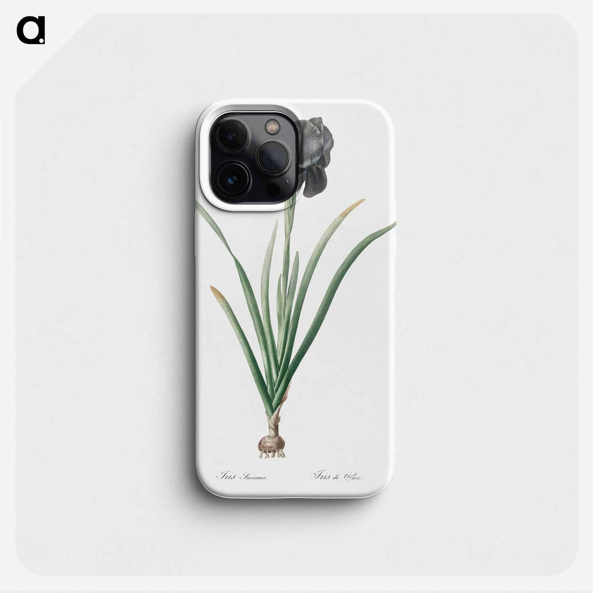 Mourning iris - ピエール ジョゼフ ルドゥーテ Phone Case.