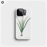 Mourning iris - ピエール ジョゼフ ルドゥーテ Phone Case.