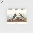 アートメモ帳-Ring Plover from Birds of America
 - アメリカの鳥たち Memo.