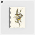 アートメモ帳-Wattle-cheeked Honey-eater
 - オーストラリアの鳥 Memo.