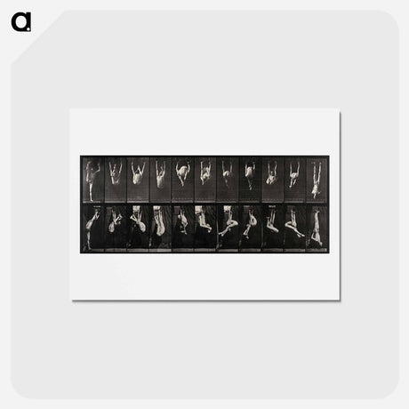 アートポストカード-Gymnast on Rings
 - エドワード マイブリッジ Postcard.