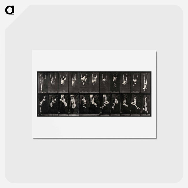 アートポストカード-Gymnast on Rings
 - エドワード マイブリッジ Postcard.