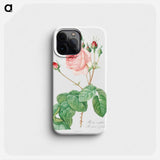 Cabbage Rose - Pierre Joseph Redouté Phone Case.