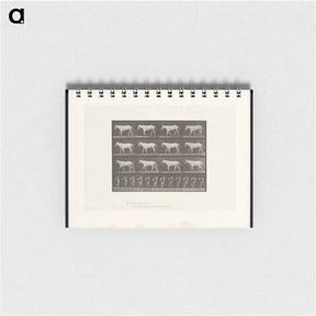 アートメモ帳-Walking Horse
 - エドワード マイブリッジ Memo.