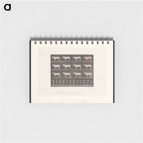アートメモ帳-Walking Horse
 - エドワード マイブリッジ Memo.