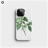 Tradescantia erecta - Pierre Joseph Redouté Phone Case.