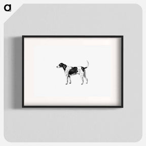 アートポスター-American Foxhound from The Life of a Foxhound
 - 大英図書館 Poster.