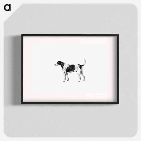 アートポスター-American Foxhound from The Life of a Foxhound
 - 大英図書館 Poster.
