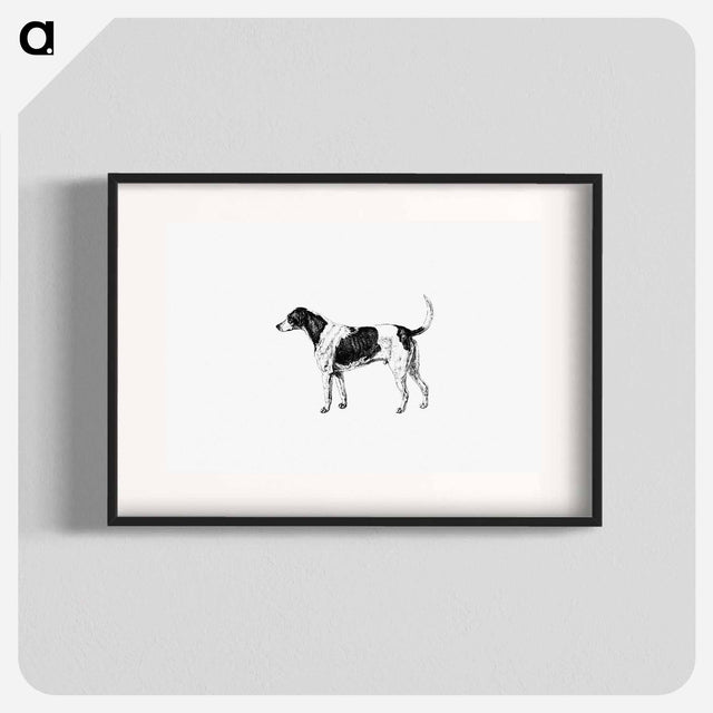 アートポスター-American Foxhound from The Life of a Foxhound
 - 大英図書館 Poster.