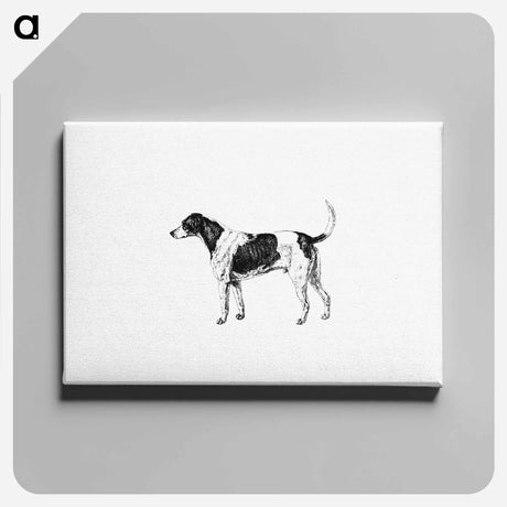 アートパネル-American Foxhound from The Life of a Foxhound
 - 大英図書館 Canvas.