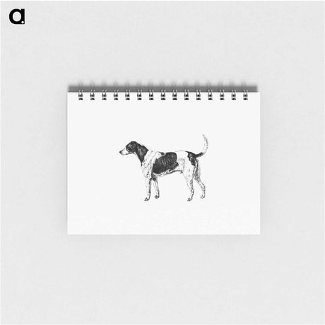 アートメモ帳-American Foxhound from The Life of a Foxhound
 - 大英図書館 Memo.