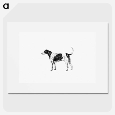 アートポスター-American Foxhound from The Life of a Foxhound
 - 大英図書館 Poster.