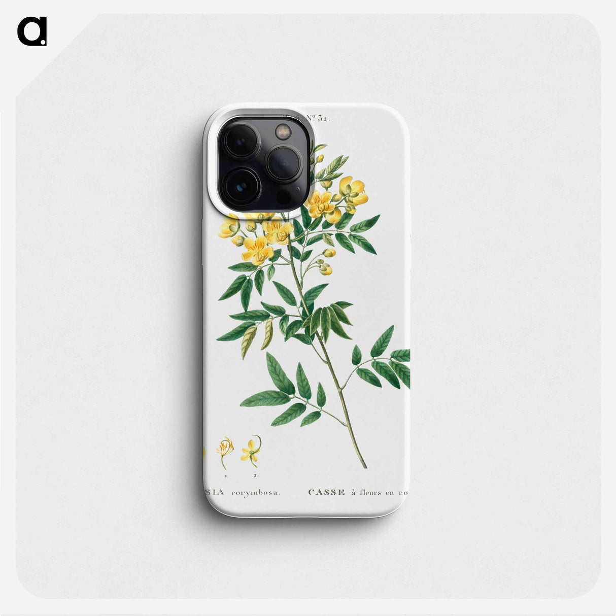 Argentine senna - Pierre Joseph Redouté Phone Case.