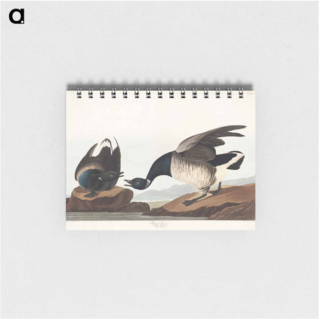 アートメモ帳-Brant Goose from Birds of America
 - アメリカの鳥たち Memo.