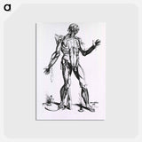 アートポストカード-Musculature of the Human Body
 - 国立医学図書館 Postcard.