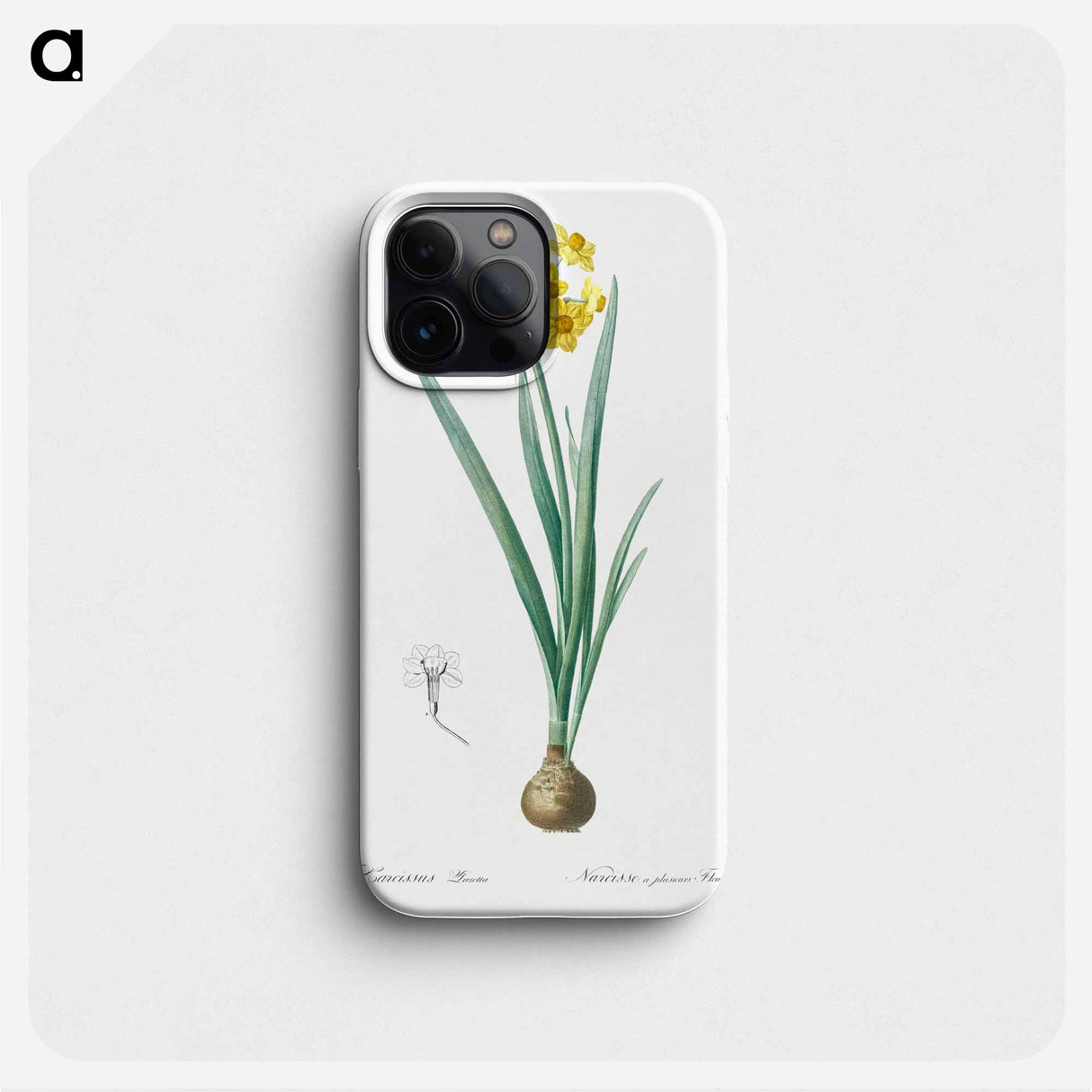 Daffodil illustration - Pierre Joseph Redouté Phone Case.