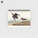 アートメモ帳-Schinz's Sandpiper from Birds of America
 - アメリカの鳥たち Memo.