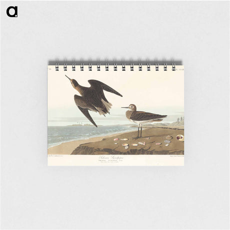 アートメモ帳-Schinz's Sandpiper from Birds of America
 - アメリカの鳥たち Memo.