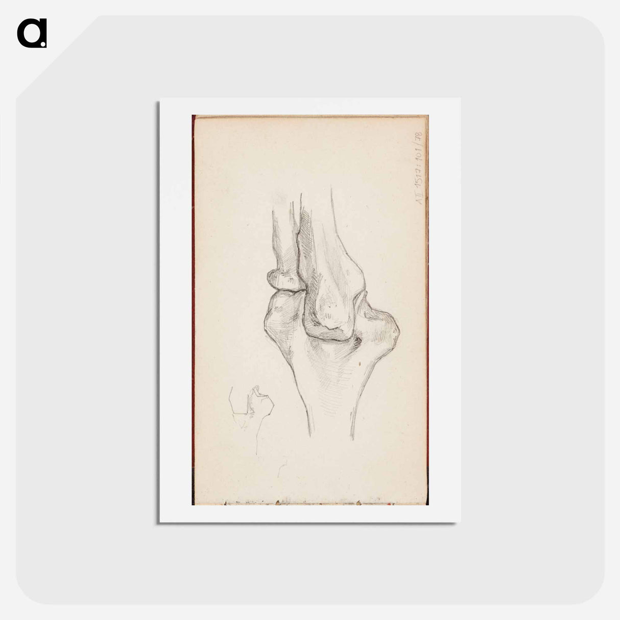 アートポストカード-(unknown) part of a sketchbook - アルバート エーデルフェルト Postcard.