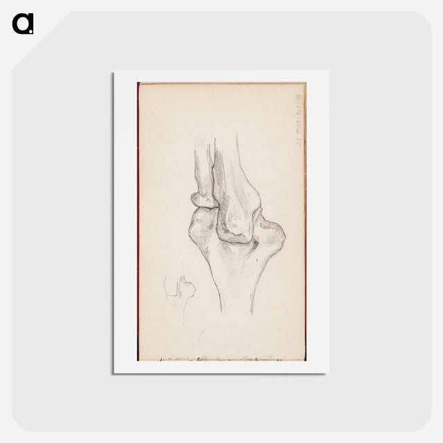 アートポストカード-(unknown) part of a sketchbook - アルバート エーデルフェルト Postcard.