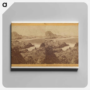 アートパネル-South Farallon Island - West End, Main Top and Breaker Cove
 - エドワード マイブリッジ Canvas.