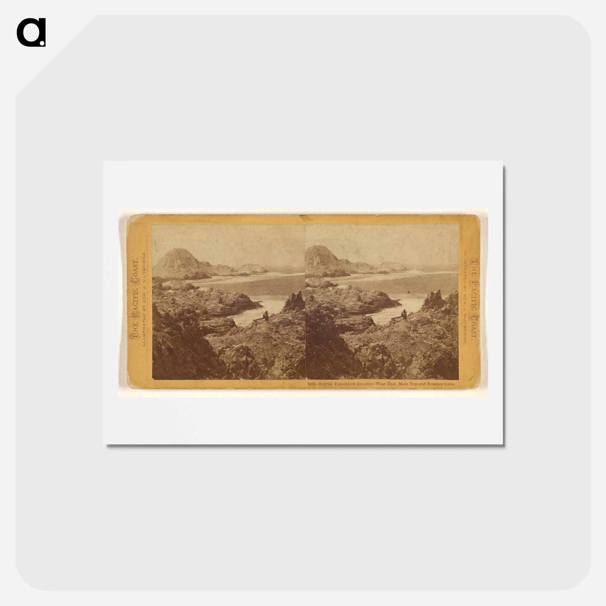 アートポストカード-South Farallon Island - West End, Main Top and Breaker Cove
 - エドワード マイブリッジ Postcard.