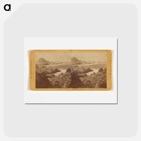 アートポストカード-South Farallon Island - West End, Main Top and Breaker Cove
 - エドワード マイブリッジ Postcard.