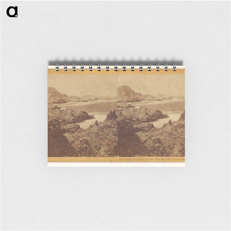 アートメモ帳-South Farallon Island - West End, Main Top and Breaker Cove
 - エドワード マイブリッジ Memo.