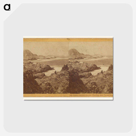 アートポストカード-South Farallon Island - West End, Main Top and Breaker Cove
 - エドワード マイブリッジ Postcard.