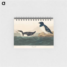 アートメモ帳-Little Auk
 - ジョン ジェームス オーデュボン Memo.