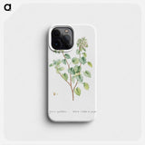 Sedum Populifolium (Poplar Leaved Stonecrop) - Pierre Joseph Redouté Phone Case.