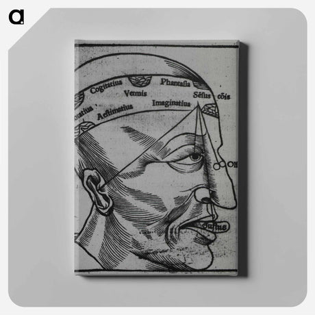 アートパネル-Memory, Imagination, Cognition and the Senses
 - 国立医学図書館 Canvas.