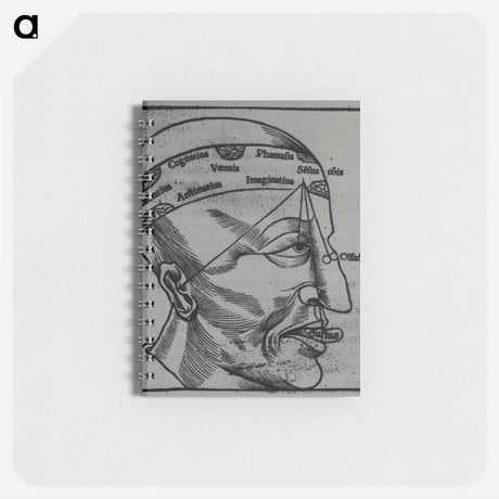 アートメモ帳-Memory, Imagination, Cognition and the Senses
 - 国立医学図書館 Memo.