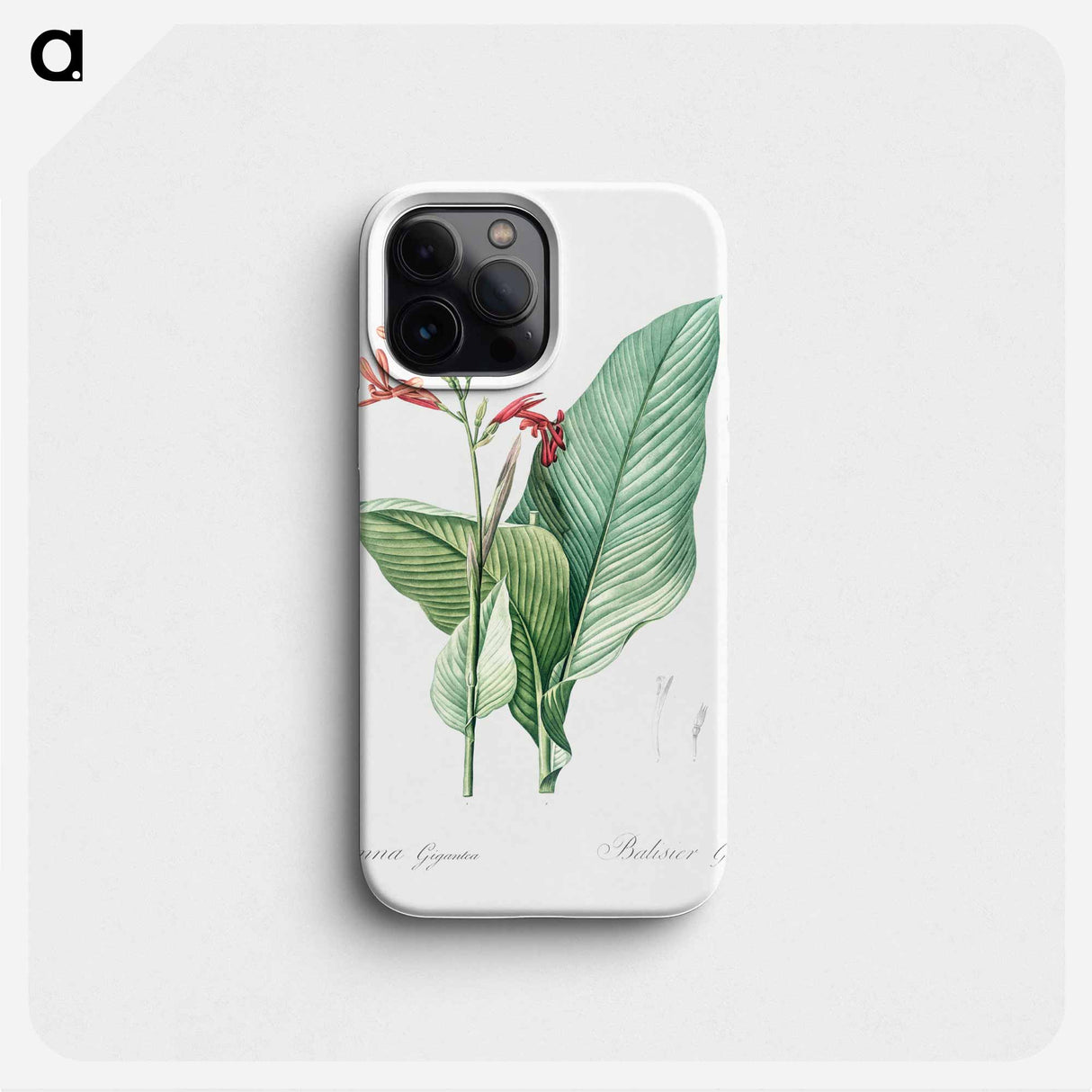 Canna lily illustration - ピエール ジョゼフ ルドゥーテ Phone Case.