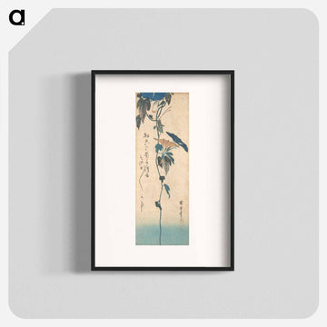 Grasshopper and Morning-glory Vine
 - 歌川 広重 Poster.