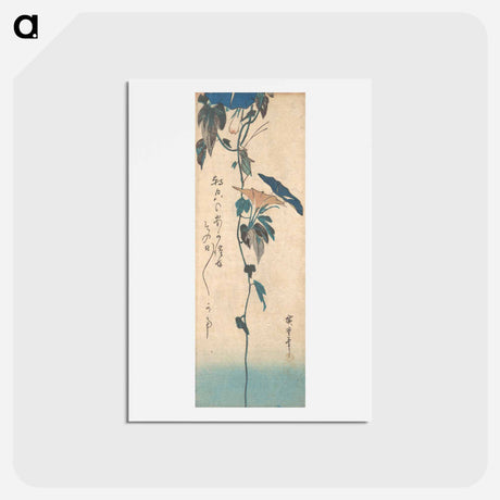 アートポストカード-Grasshopper and Morning-glory Vine
 - 歌川 広重 Postcard.