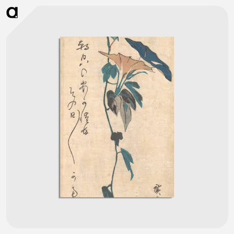 アートポストカード-Grasshopper and Morning-glory Vine
 - 歌川 広重 Postcard.