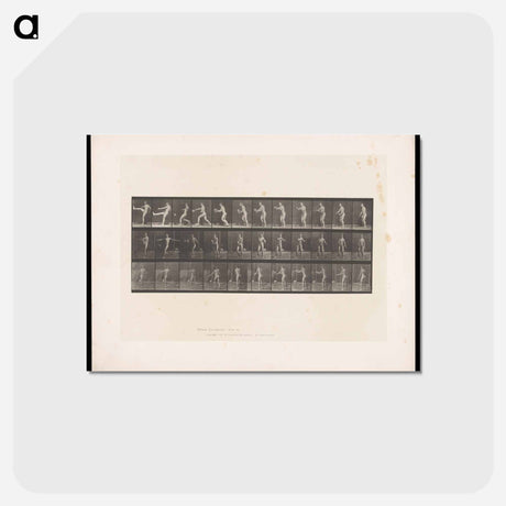 アートポストカード-Rugby Motion
 - エドワード マイブリッジ Postcard.