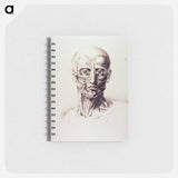 アートメモ帳-Muscles of the Neck and Face
 - 国立医学図書館 Memo.