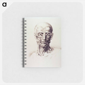 アートメモ帳-Muscles of the Neck and Face
 - 国立医学図書館 Memo.