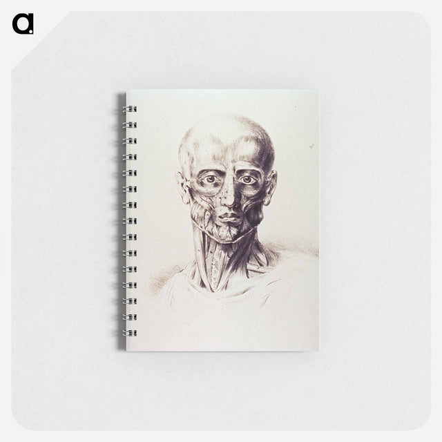 アートメモ帳-Muscles of the Neck and Face
 - 国立医学図書館 Memo.