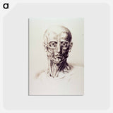 アートポストカード-Muscles of the Neck and Face
 - 国立医学図書館 Postcard.