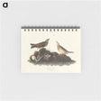 アートメモ帳-Brown Lark from Birds of America
 - アメリカの鳥たち Memo.