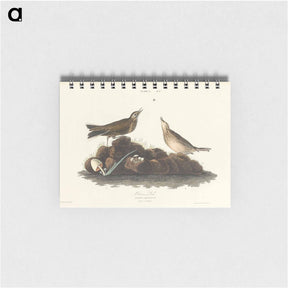 アートメモ帳-Brown Lark from Birds of America
 - アメリカの鳥たち Memo.