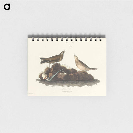 アートメモ帳-Brown Lark from Birds of America
 - アメリカの鳥たち Memo.
