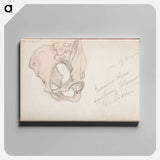 (unknown) part of a sketchbook - アルバート エーデルフェルト Canvas.