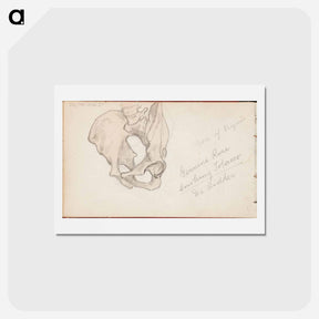 アートポストカード-(unknown) part of a sketchbook - アルバート エーデルフェルト Postcard.
